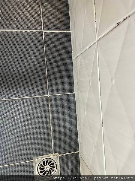 S__85410184.jpg