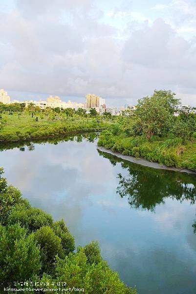 濕地公園 (9).jpg