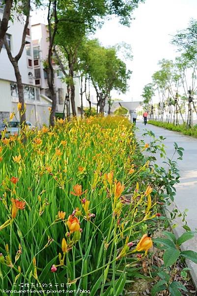 大東 (28).jpg