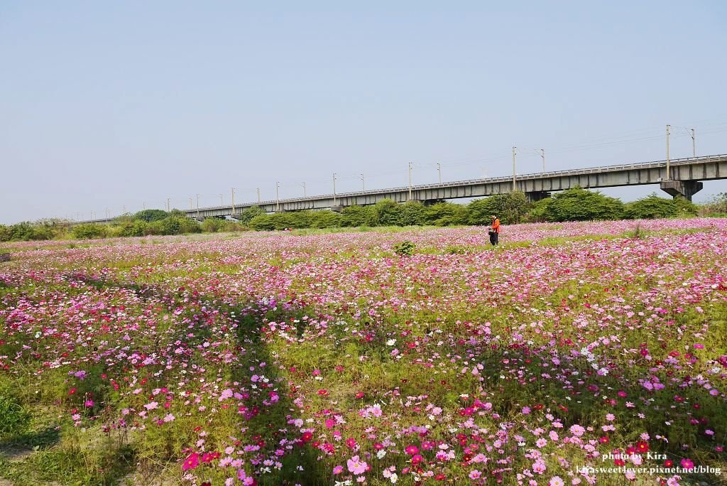 舊鐵橋 (29).jpg