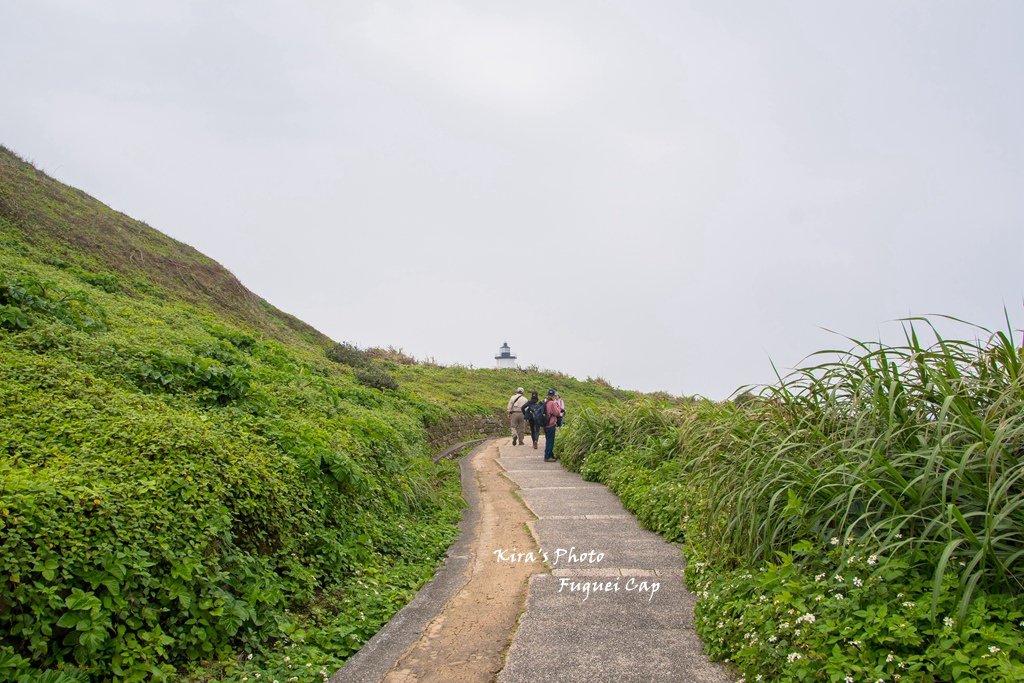 老梅 (40).jpg