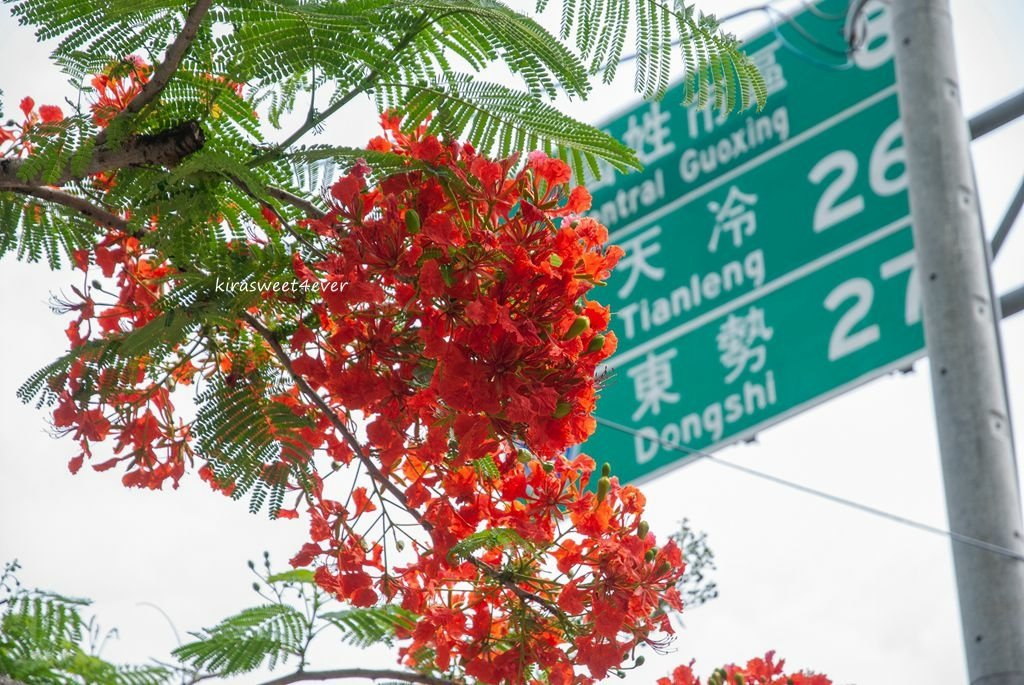 國姓 (1).jpg