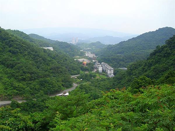 IMG_2440 (大型).JPG