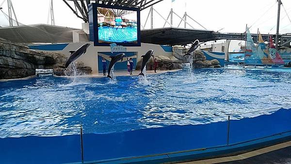 海洋公園-海豚表演.jpg
