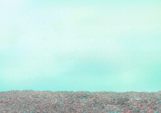 流程3.gif