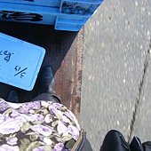 DSCF2105.JPG