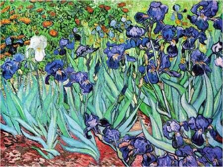 van-gogh-vincent-iris-24037813.jpg