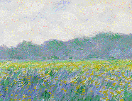 1627048ywthth8ugs01teu.gif