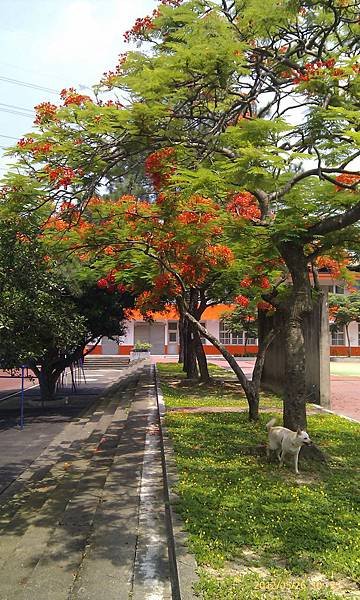 0526 (4)