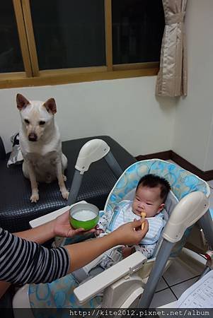 20140319 (19).JPG