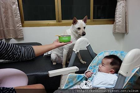 20140319 (33).JPG
