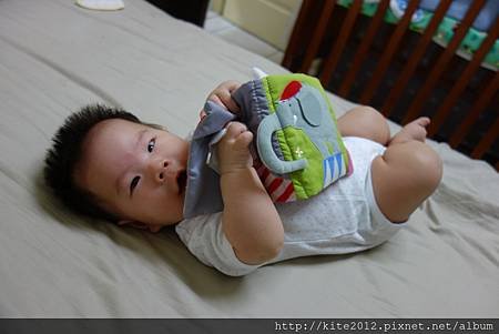 20140417 (22).JPG