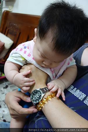 20140418 (7).JPG