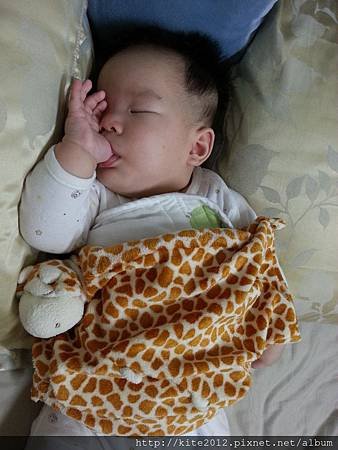20140419 (47).jpg