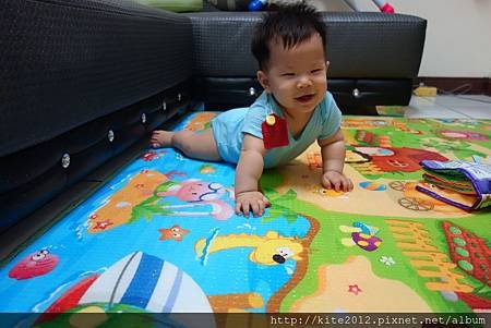 20140619 (10).JPG