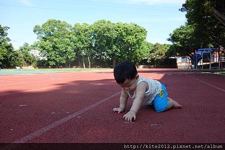 20140823 (15).JPG