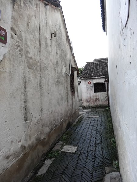 DSC05894
