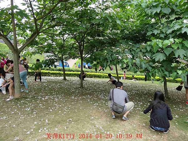 DSC00121