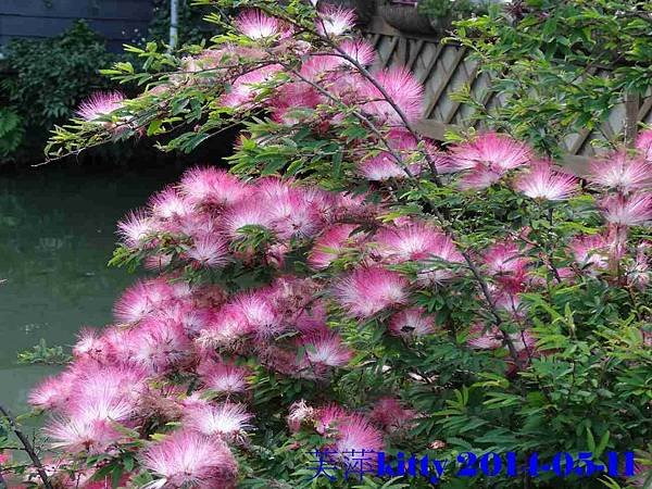 DSC00379