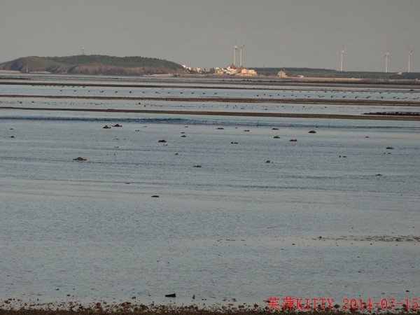DSC02600_調整大小