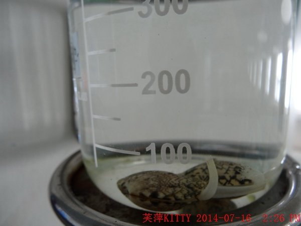 DSC02809_調整大小