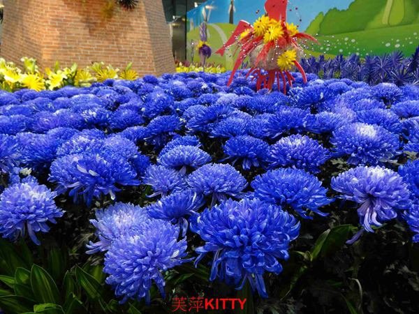 DSC00186