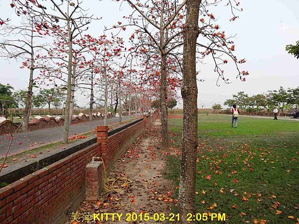 DSC02119