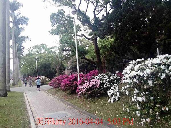 IMG_20160404_170335.jpg
