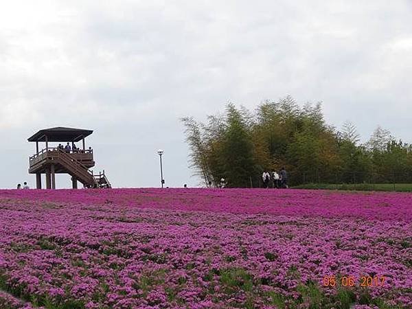 201755-59花癡之旅_170512_0248.jpg