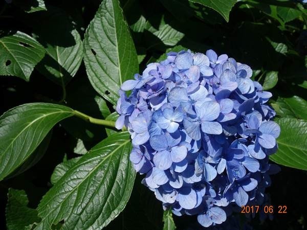 DSC04134.JPG