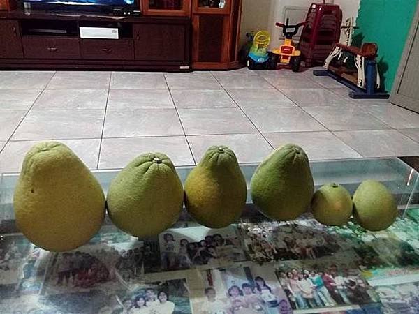 IMG_20170910_182104.jpg