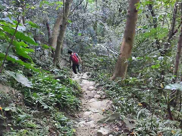 2019119三峽鳶山彩壁_191115_0131.jpg