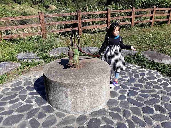 2019128北埔六塘落羽松_191210_0065.jpg