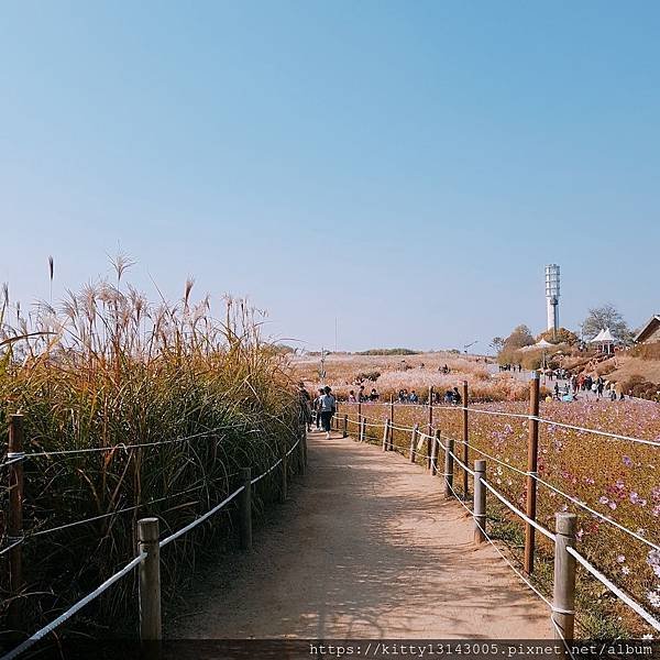 天空公園 하늘공원