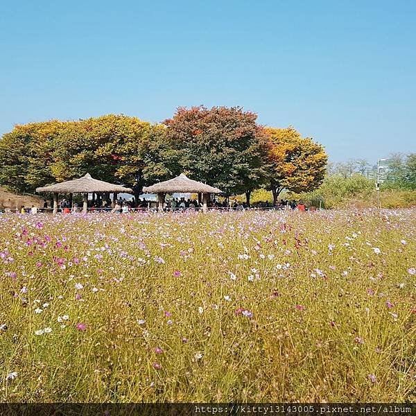 天空公園 하늘공원