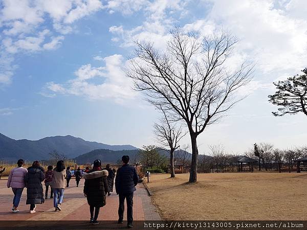 光州景點-順天灣濕地、順天樂安邑城