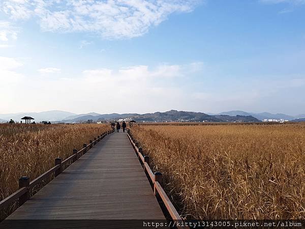 光州景點-順天灣濕地、順天樂安邑城