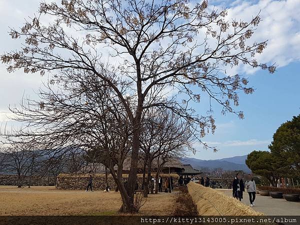 光州景點-順天灣濕地、順天樂安邑城