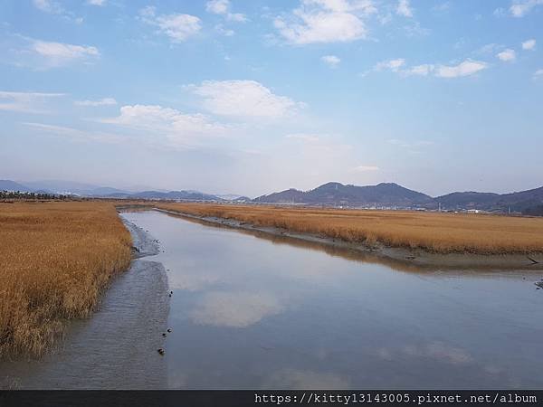 光州景點-順天灣濕地、順天樂安邑城