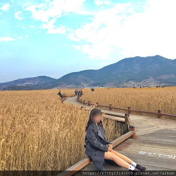 光州景點-順天灣濕地、順天樂安邑城