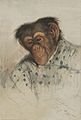 Houghton_MS_Typ_55.12_-_Edward_Lear,_chimpanzee_head.jpg