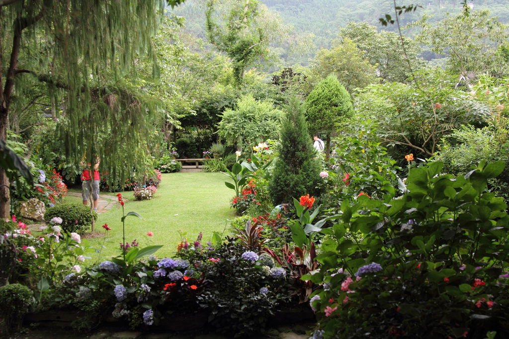 DPP_0053.JPG