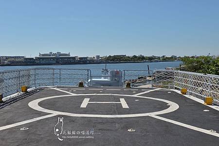 DSC_49(001).jpg