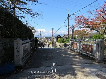 05-343(001).jpg