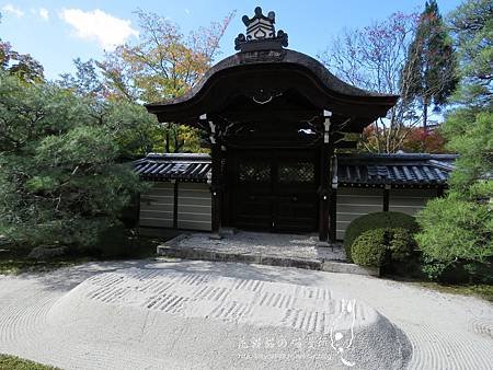 05-399(001).jpg