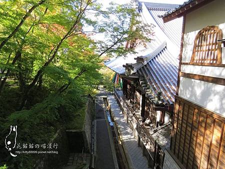 05-406(001).jpg