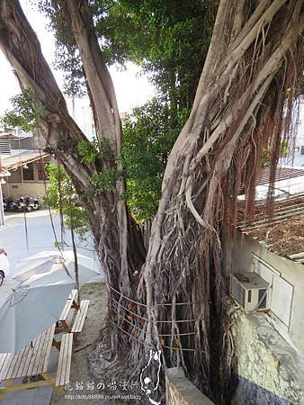 IMG_020(001).jpg