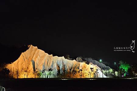 DSC_100(001).jpg