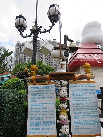 IMG_0062(001).jpg