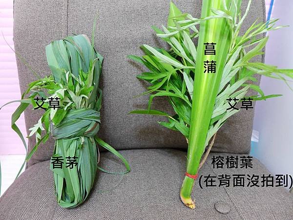 菖蒲與香茅 (1).JPG